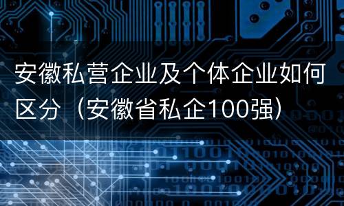 安徽私营企业及个体企业如何区分（安徽省私企100强）