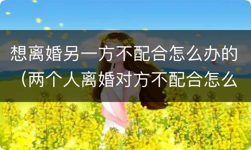 想离婚另一方不配合怎么办的（两个人离婚对方不配合怎么办）