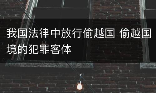 我国法律中放行偷越国 偷越国境的犯罪客体