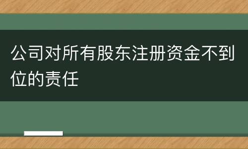 公司对所有股东注册资金不到位的责任