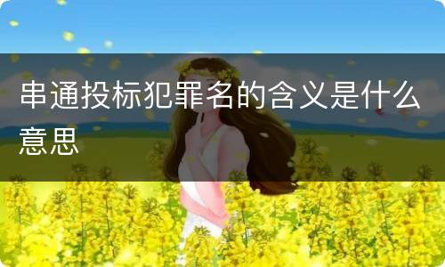 串通投标犯罪名的含义是什么意思