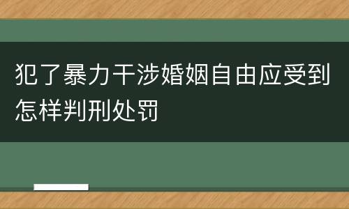 犯了暴力干涉婚姻自由应受到怎样判刑处罚