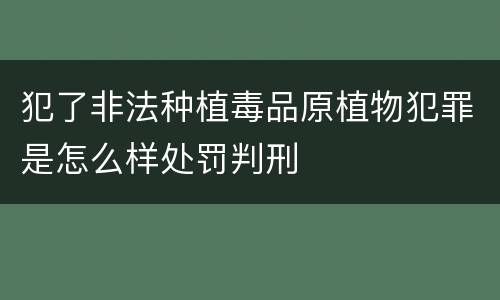犯了非法种植毒品原植物犯罪是怎么样处罚判刑
