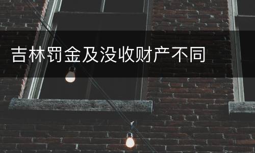 吉林罚金及没收财产不同