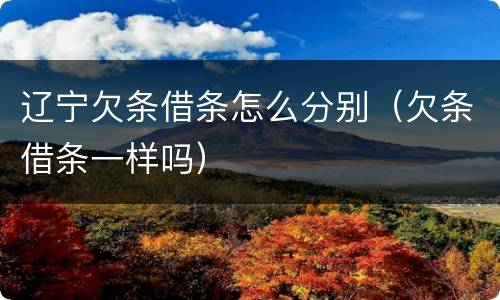 辽宁欠条借条怎么分别（欠条借条一样吗）