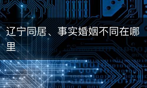 辽宁同居、事实婚姻不同在哪里