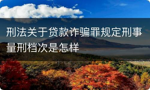 刑法关于贷款诈骗罪规定刑事量刑档次是怎样