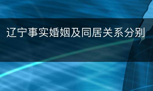 辽宁事实婚姻及同居关系分别
