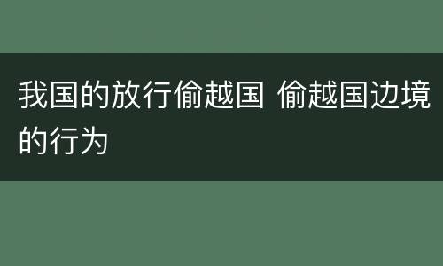 我国的放行偷越国 偷越国边境的行为