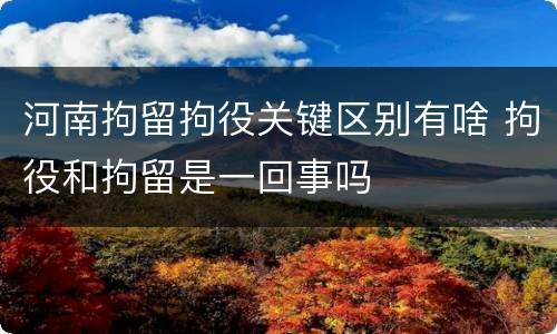 河南拘留拘役关键区别有啥 拘役和拘留是一回事吗