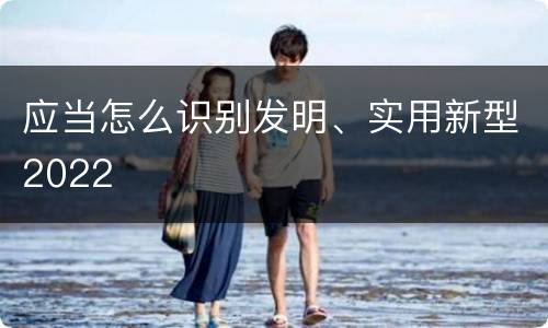 应当怎么识别发明、实用新型2022