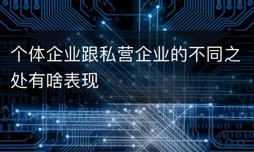个体企业跟私营企业的不同之处有啥表现