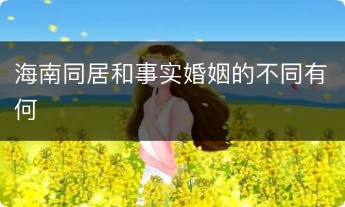 海南同居和事实婚姻的不同有何