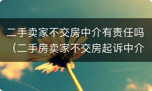二手卖家不交房中介有责任吗（二手房卖家不交房起诉中介吗）