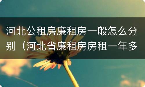 河北公租房廉租房一般怎么分别（河北省廉租房房租一年多少钱）