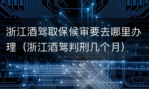 浙江酒驾取保候审要去哪里办理（浙江酒驾判刑几个月）