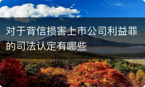 对于背信损害上市公司利益罪的司法认定有哪些