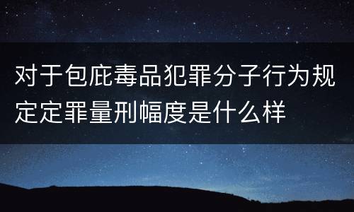 对于包庇毒品犯罪分子行为规定定罪量刑幅度是什么样