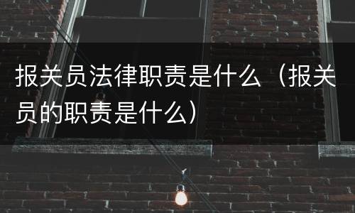 报关员法律职责是什么（报关员的职责是什么）