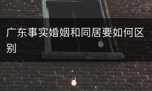 广东事实婚姻和同居要如何区别