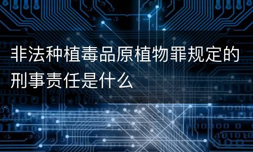 非法种植毒品原植物罪规定的刑事责任是什么