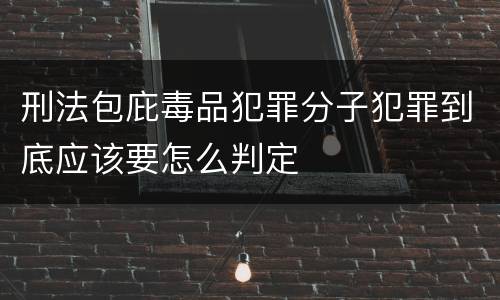 刑法包庇毒品犯罪分子犯罪到底应该要怎么判定
