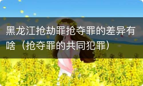 黑龙江抢劫罪抢夺罪的差异有啥（抢夺罪的共同犯罪）