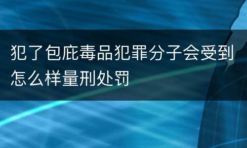 犯了包庇毒品犯罪分子会受到怎么样量刑处罚