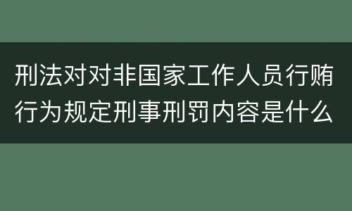 刑法对对非国家工作人员行贿行为规定刑事刑罚内容是什么样