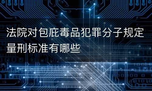 法院对包庇毒品犯罪分子规定量刑标准有哪些