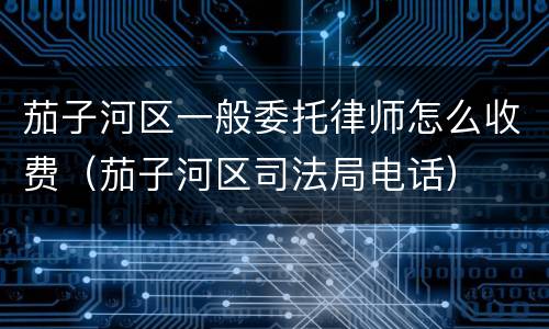 茄子河区一般委托律师怎么收费（茄子河区司法局电话）