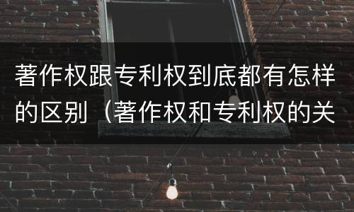 著作权跟专利权到底都有怎样的区别（著作权和专利权的关系如何）