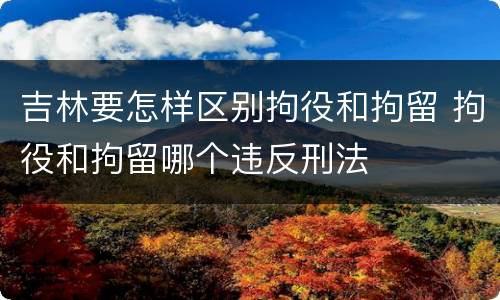 吉林要怎样区别拘役和拘留 拘役和拘留哪个违反刑法