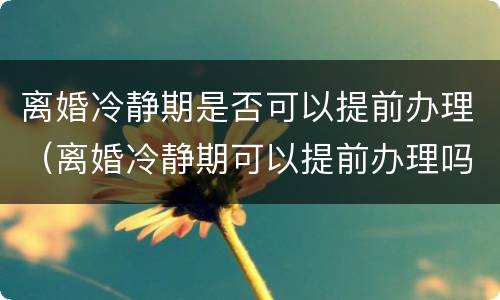 离婚冷静期是否可以提前办理（离婚冷静期可以提前办理吗）