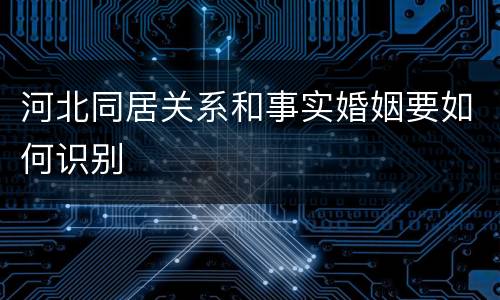 河北同居关系和事实婚姻要如何识别