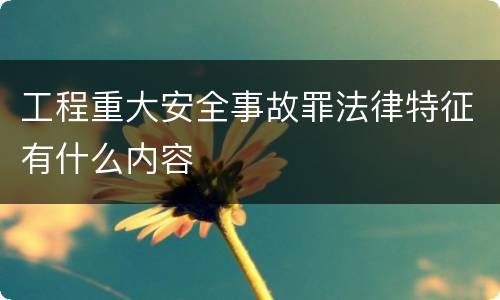工程重大安全事故罪法律特征有什么内容