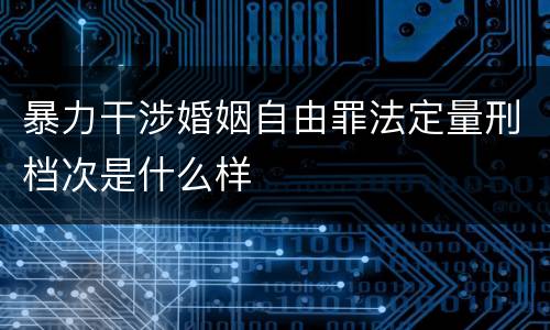暴力干涉婚姻自由罪法定量刑档次是什么样