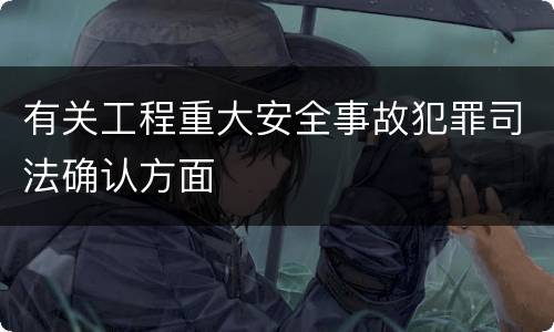 有关工程重大安全事故犯罪司法确认方面