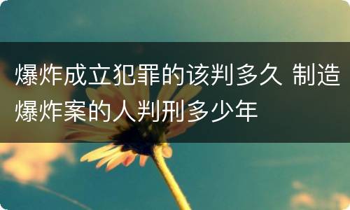 爆炸成立犯罪的该判多久 制造爆炸案的人判刑多少年