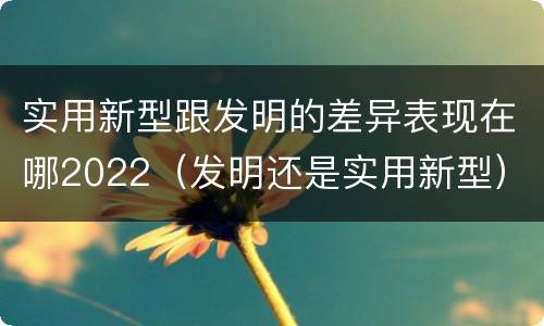 实用新型跟发明的差异表现在哪2022（发明还是实用新型）