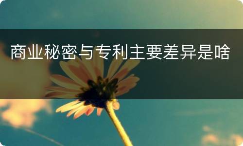 商业秘密与专利主要差异是啥