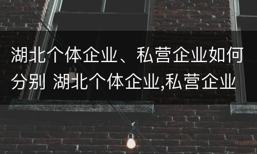 湖北个体企业、私营企业如何分别 湖北个体企业,私营企业如何分别交社保