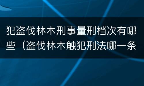犯盗伐林木刑事量刑档次有哪些（盗伐林木触犯刑法哪一条）