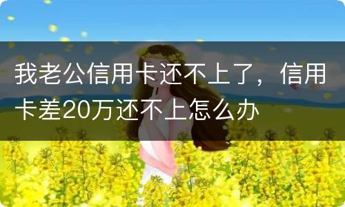 我老公信用卡还不上了，信用卡差20万还不上怎么办