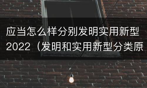 应当怎么样分别发明实用新型2022（发明和实用新型分类原则）
