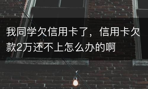 我同学欠信用卡了，信用卡欠款2万还不上怎么办的啊