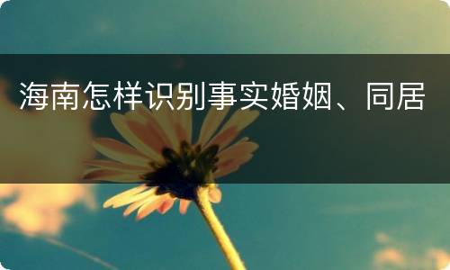 海南怎样识别事实婚姻、同居