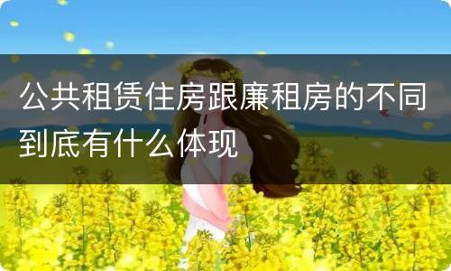 公共租赁住房跟廉租房的不同到底有什么体现