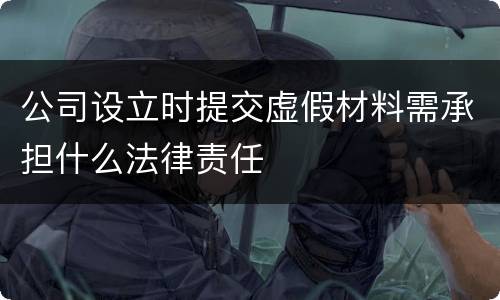 公司设立时提交虚假材料需承担什么法律责任