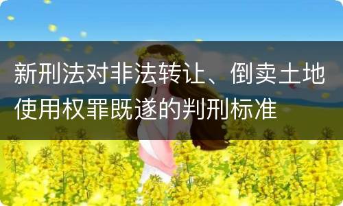 新刑法对非法转让、倒卖土地使用权罪既遂的判刑标准